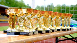 Ant srtalo stovi auksinės apdovanojimų taurės
