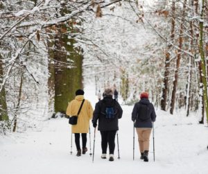 Trys žmonės eina su šiaurietiško įjimo lazdomis mišku per sniegą