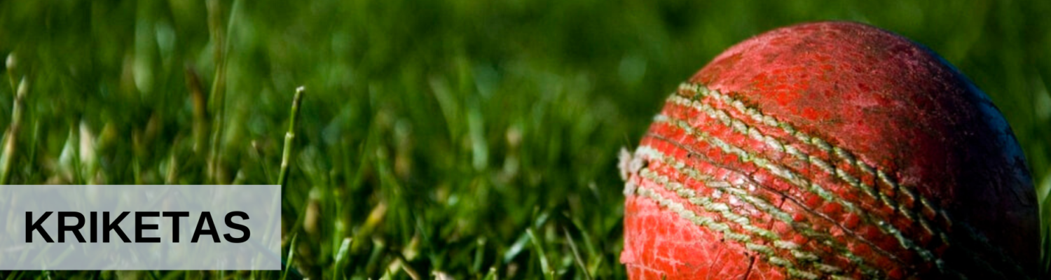 Raudonas kriketo kamuoliukas guli žolėje